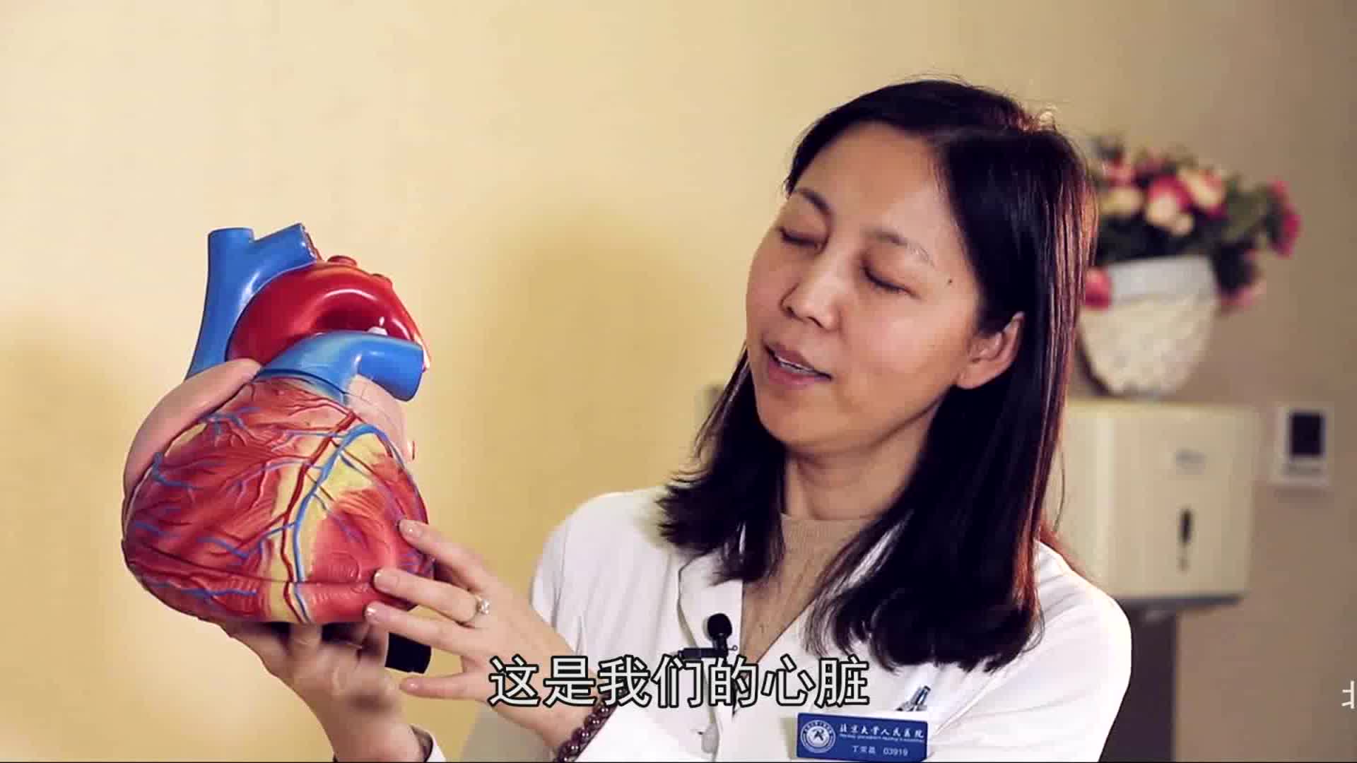 心脏在人体什么位置_洞医