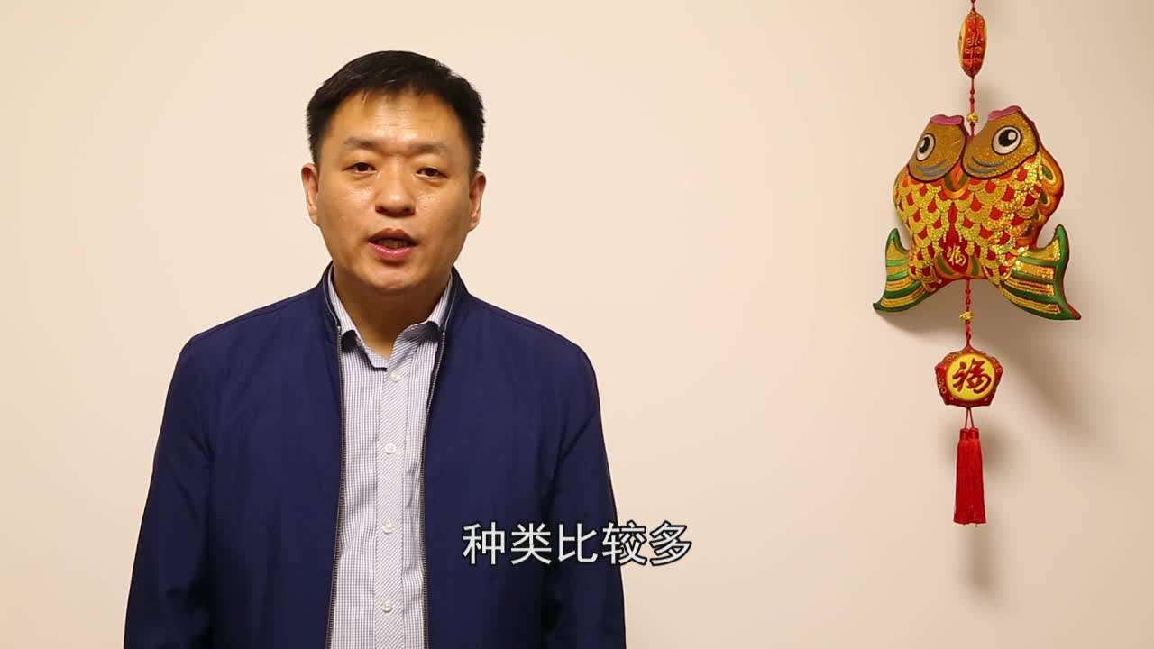 健康运动手环多少钱一个?_洞医