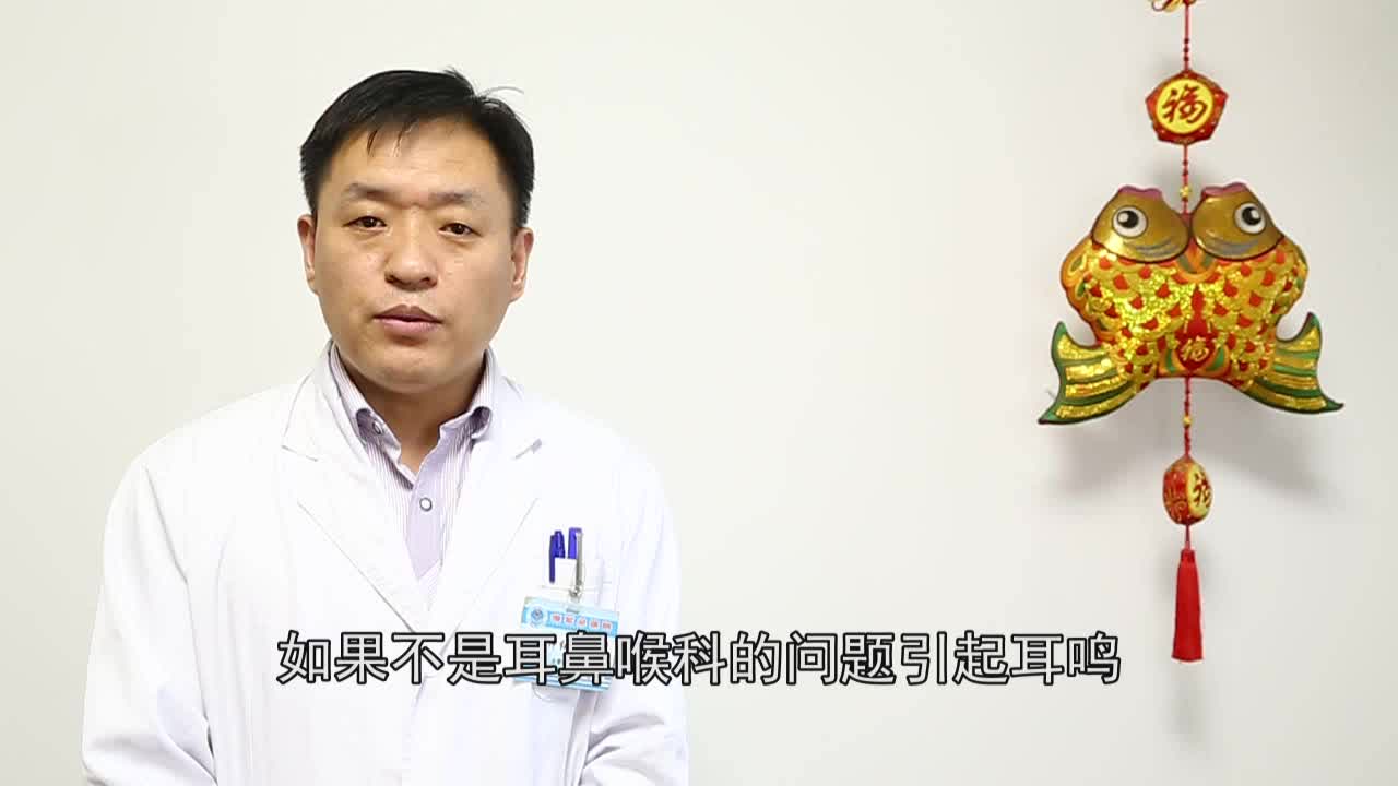 耳鸣要看什么科_洞医网